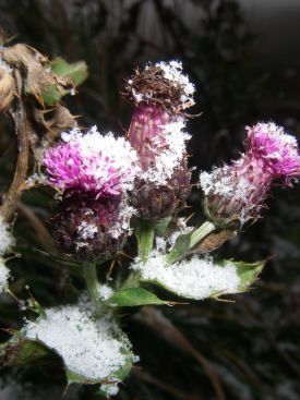 Winter approachs in the Cairngorms