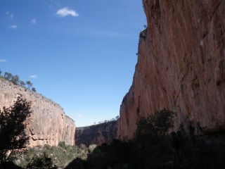 The lovely orange rock of Oasis
