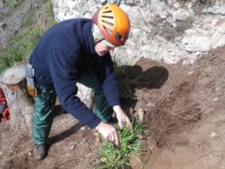 Paul adding vegetation to the work