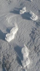 Raised Footprints Raised Footprints